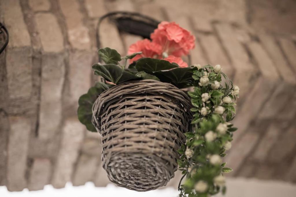 Shabby Apartment @Trastevere Roma Ngoại thất bức ảnh